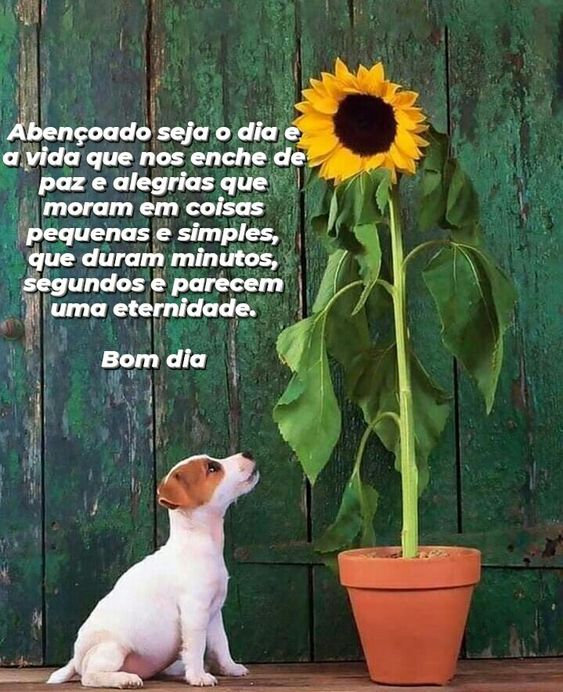 Dia abençoado de paz e alegrias