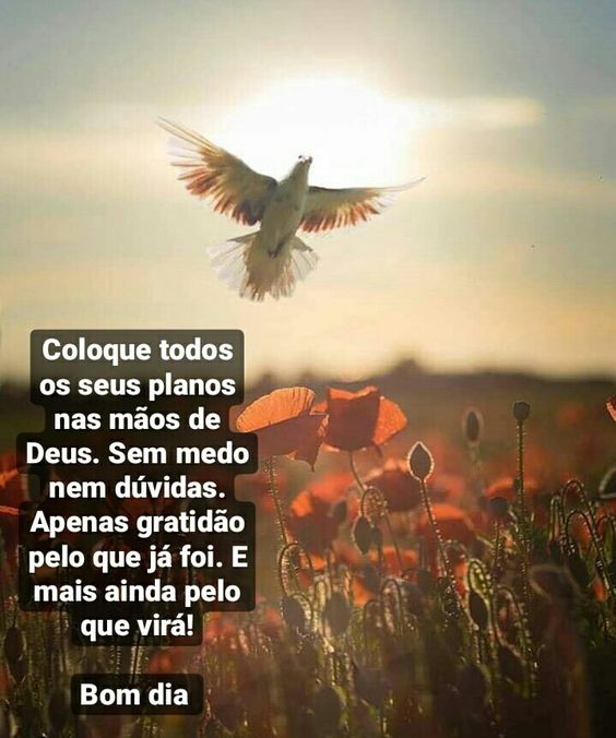 Bom dia nas mãos de Deus