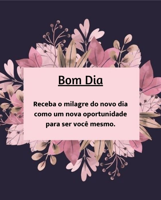 Nova oportunidade para você