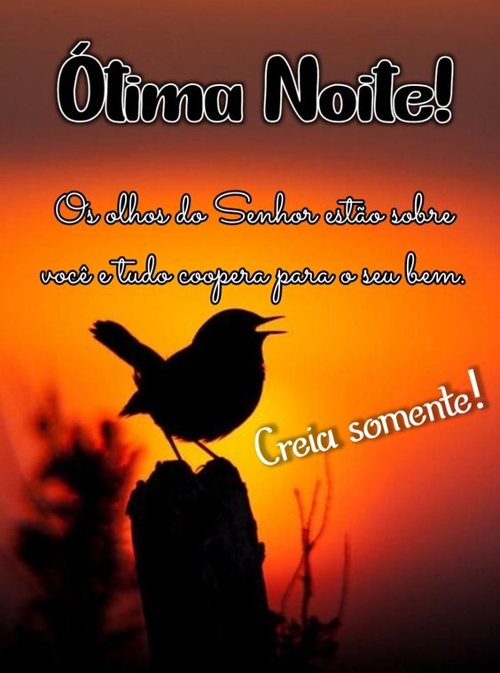 Ótima noite para você