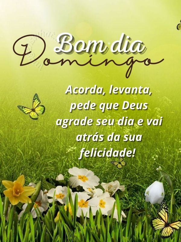 37 Imagens de Bom dia Domingo Especial e Abençoado com Mensagens