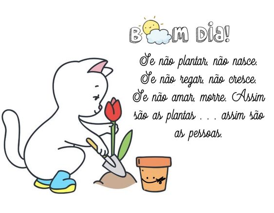 Se não plantar, não nasce…