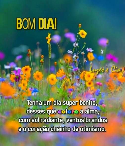 Tenha um dia super bonito…