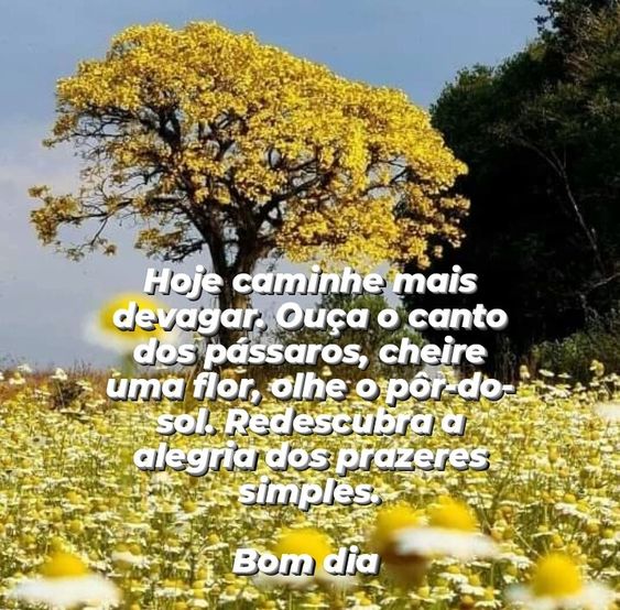 Hoje caminhe mais devagar…