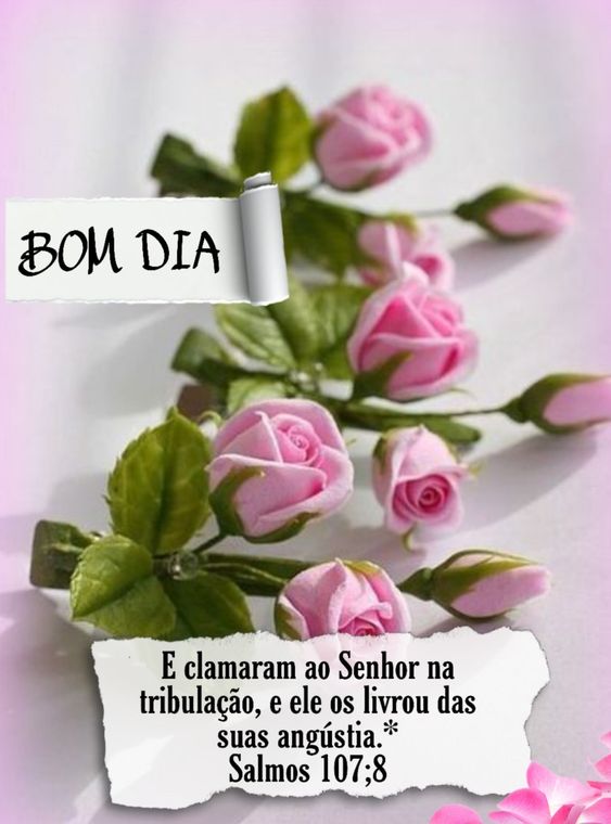 42 Lindas Imagens de Bom dia com flores e mensagens para você