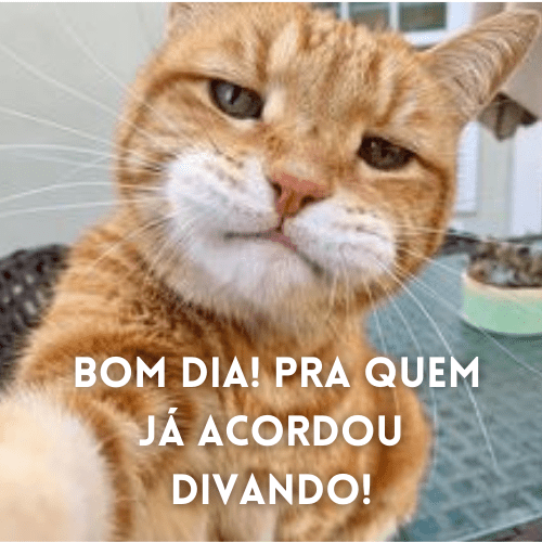 31 Figurinhas Engraçadas de Bom dia para Whatsapp e Grupos