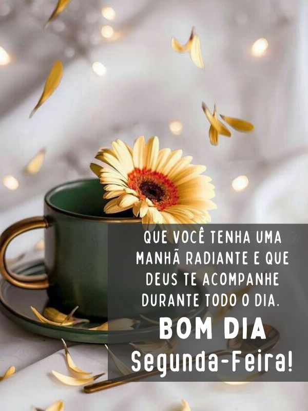 Fotos e Mensagens de Bom dia Segunda-feira Abençoada por Deus