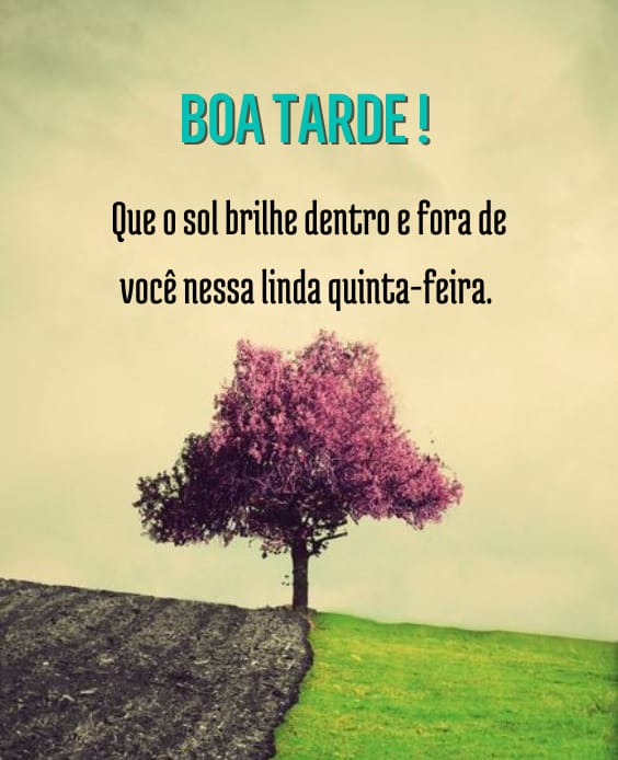 Imagens de Boa tarde Quinta-feira Maravilhosa com Belas Frases