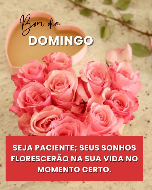 Bom dia Domingo! Imagens e Belas Frases com Flores e Carinho